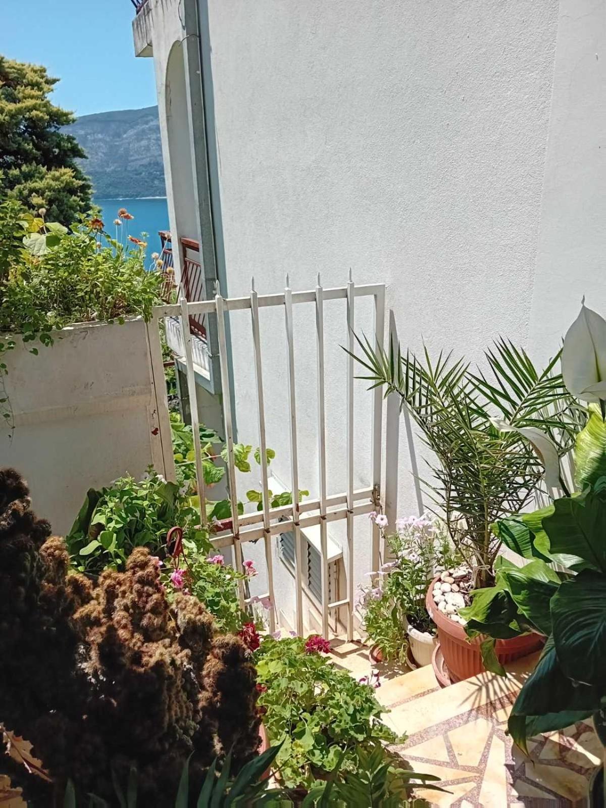 Guest House Cinderella Herceg Novi Zewnętrze zdjęcie